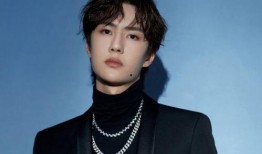 知乎肖战王一博爆料视频,揭秘两人幕后故事与真实关系