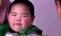 小肥仔被爆料家暴视频,真相与反思